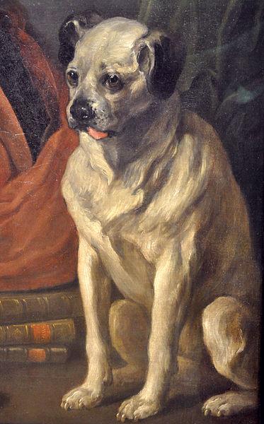 William Hogarth Pug oil painting picture